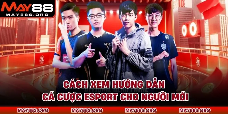 Cách xem hướng dẫn cá cược Esport cho người mới