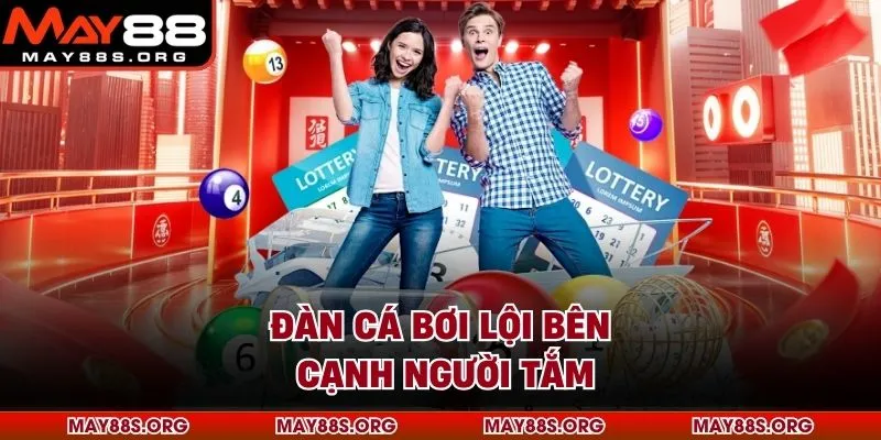 Đàn cá bơi lội bên cạnh người tắm